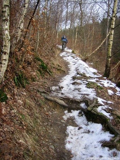 IMG 4819 1264266206