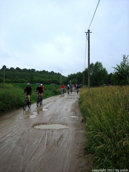 IMG 7131
