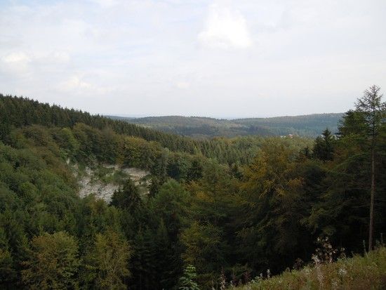 DSCN0907