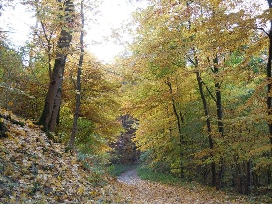 Herbst