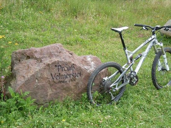 zesty-velmer