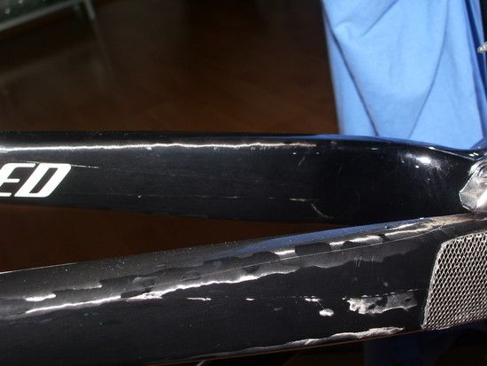 IMGP6013