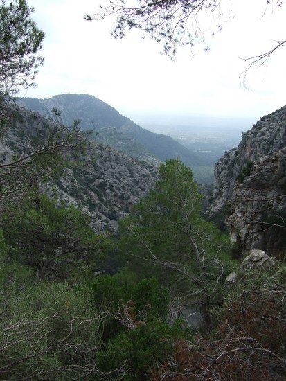 Bild aus den Transmuntana