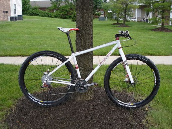 IF29erTi