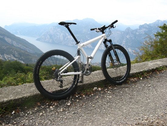 klein palamino xv
