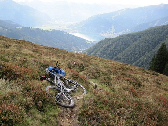 Hundstein026