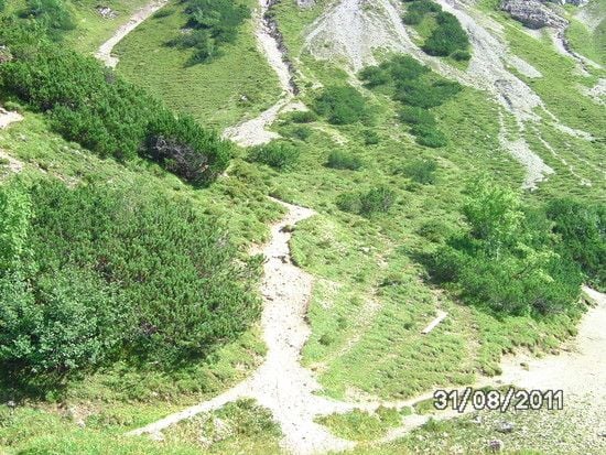 BILD0569