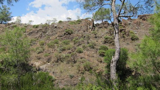 IMG 0433