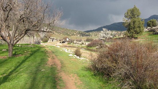 IMG 0531