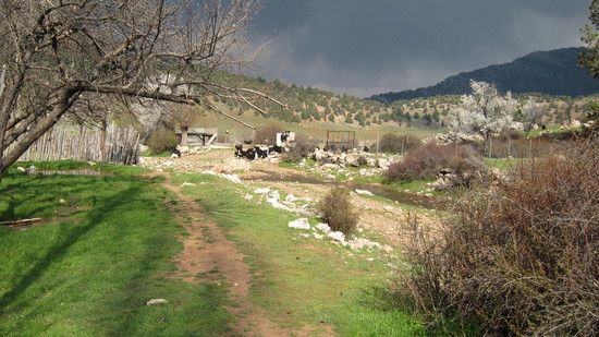 IMG 0532