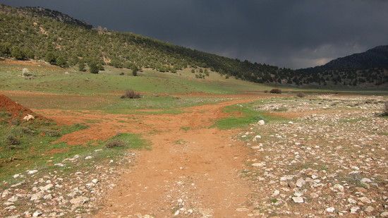 IMG 0535