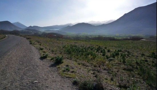 P1020720