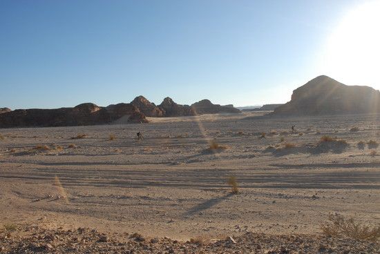 Sinai 671