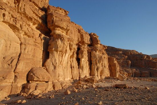 Sinai 718