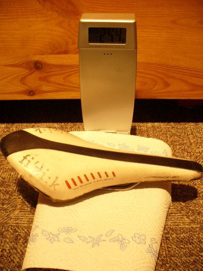 Fizik Arione