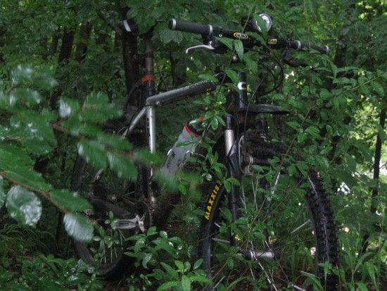 2010074-Drexwetterbike