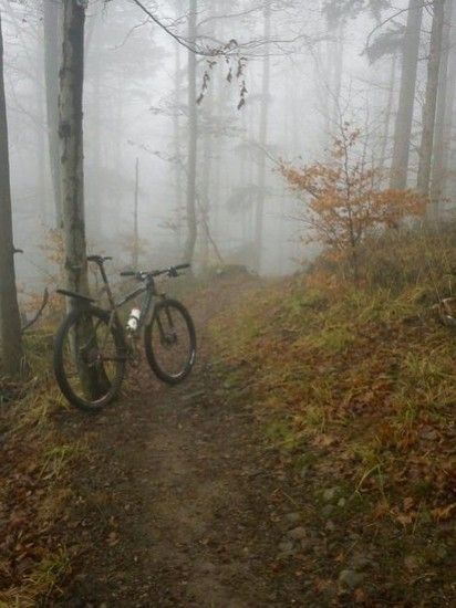 theFog