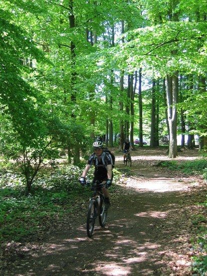 Bild018
