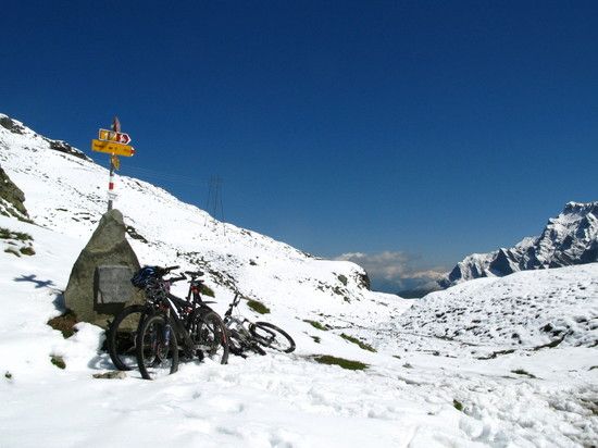2412mTomlpass