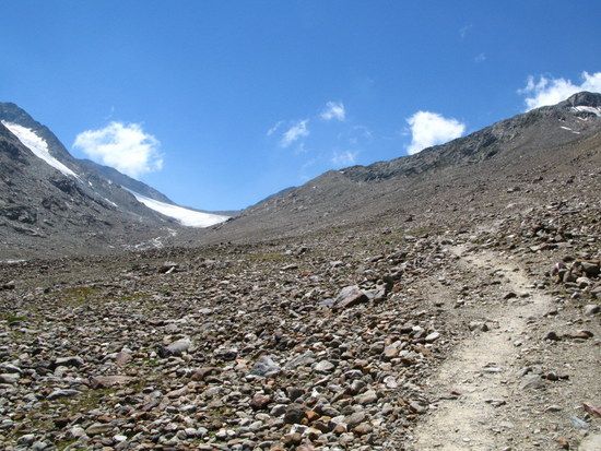 IMG 0787