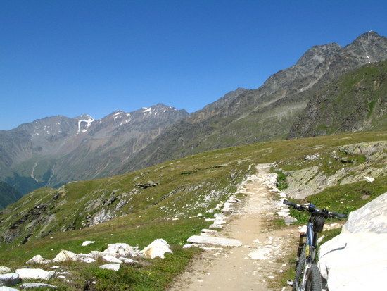 IMG 0855