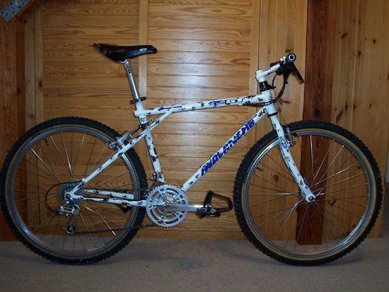 Avalanche 1991 91