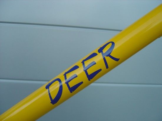 Deer