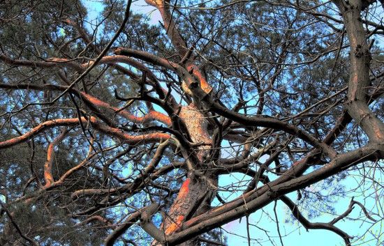 Untitled HDR2copy 1