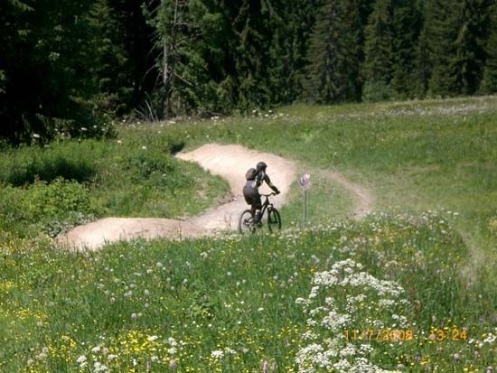 Chavannes Downhill Les Gets Portes du Soleil