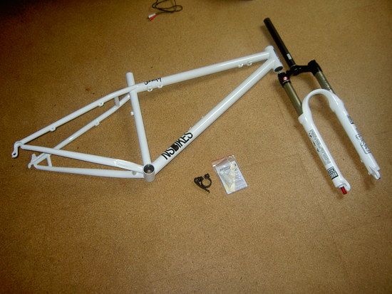 NS Society + RS Revelation