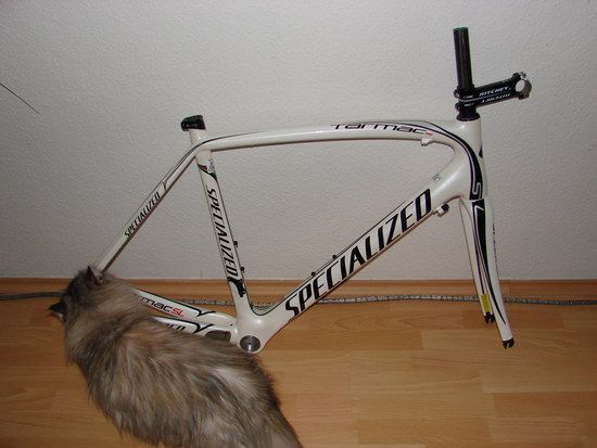 tarmac2