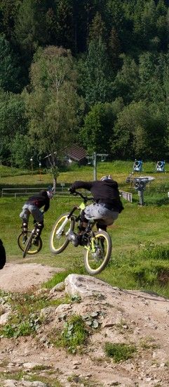 GeisskopDHToWiese