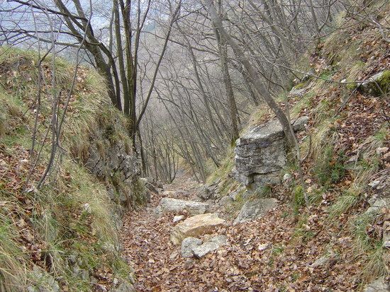 DSC03486