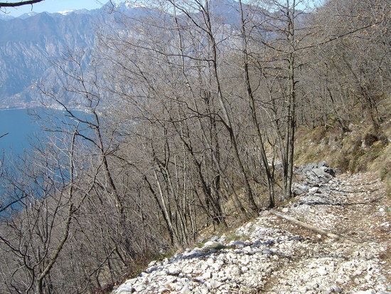 DSC03519