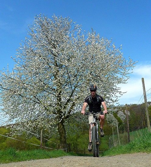 09April2011 002