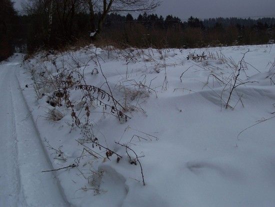16Januar105