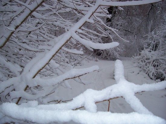 29januar2010014