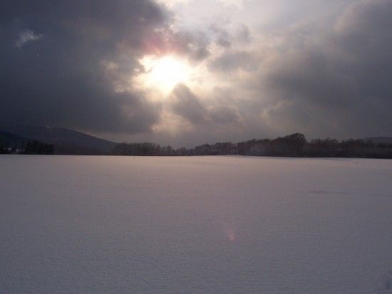 29januar2010038