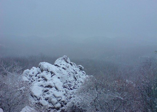 OelbergNov08 1