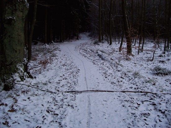 januar10c.jpg