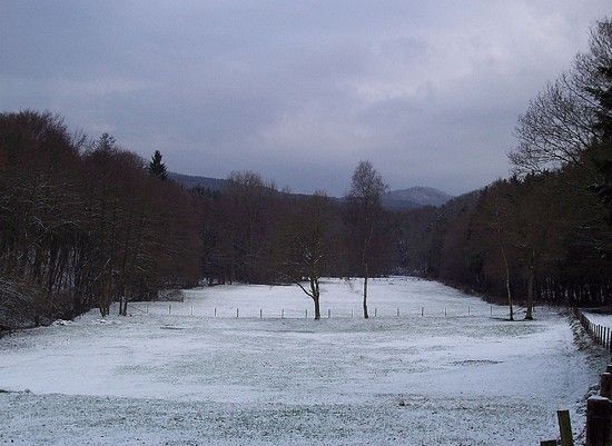 januar10d.jpg