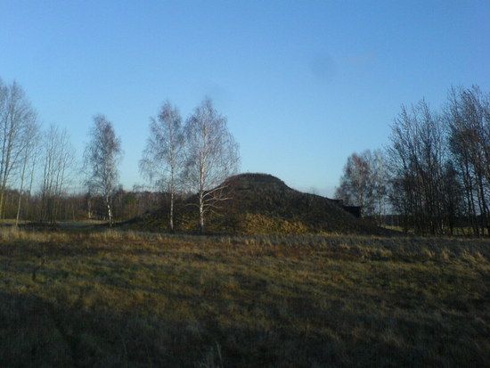 DSC00465