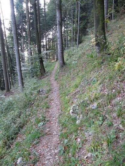Trail 02