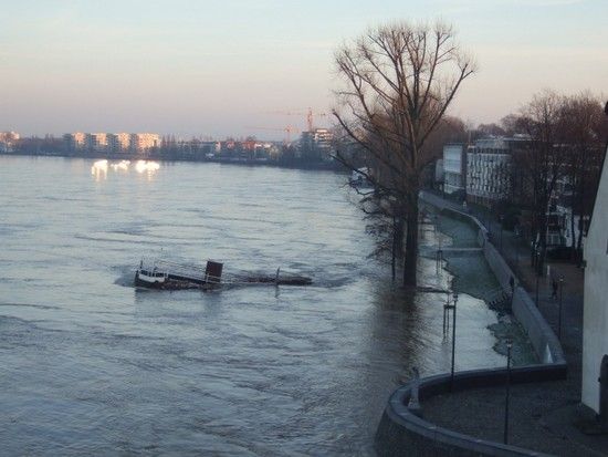 110110 2985 Hochwasser Koeln Muelheim