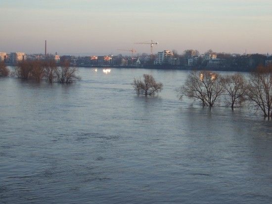 110110 2989 Hochwasser Koeln Muelheimer Bruecke