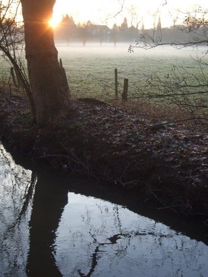 110118 3239 Sonnenaufgang an der Strunde 1295284521