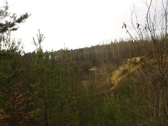 120110 Nightride Grube Cox 1405