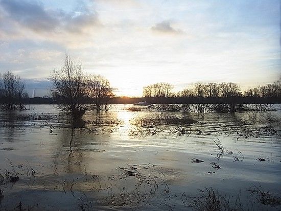 120112 Arbeitsweg Rhein Hochwasser R0034