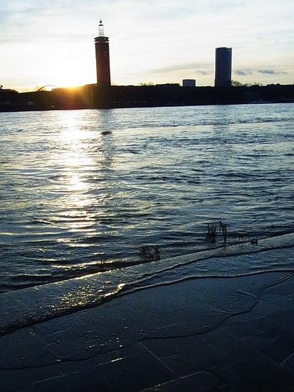 120112 Arbeitsweg Rhein Schwapper R0045