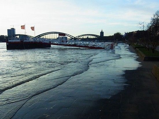 120112 Arbeitsweg Rhein Zwiewasser R0041